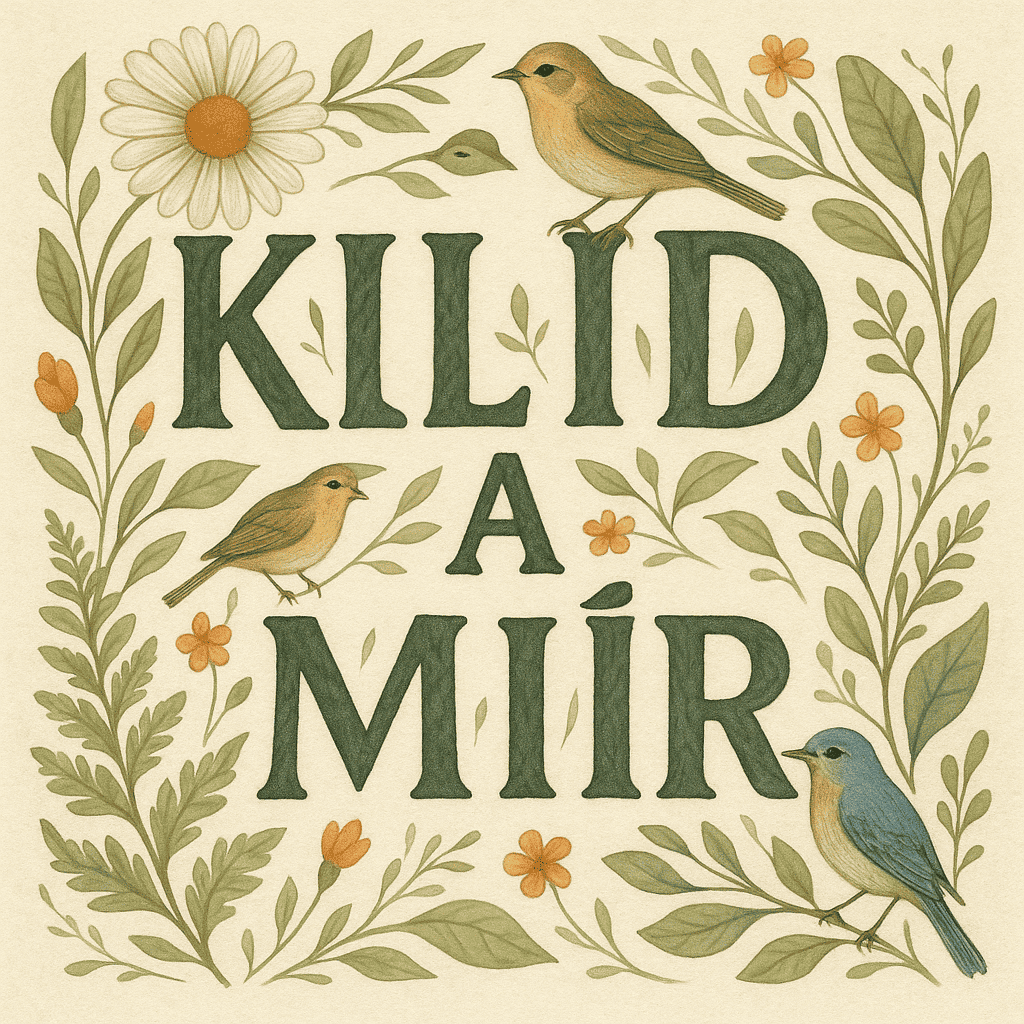 Popis obr&aacute;zku