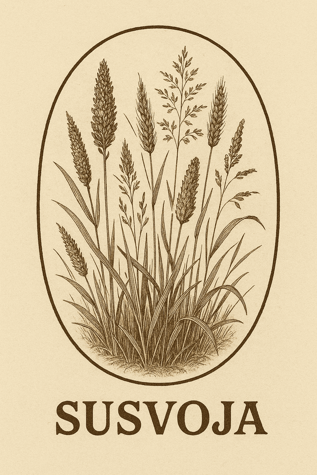 Popis obr&aacute;zku