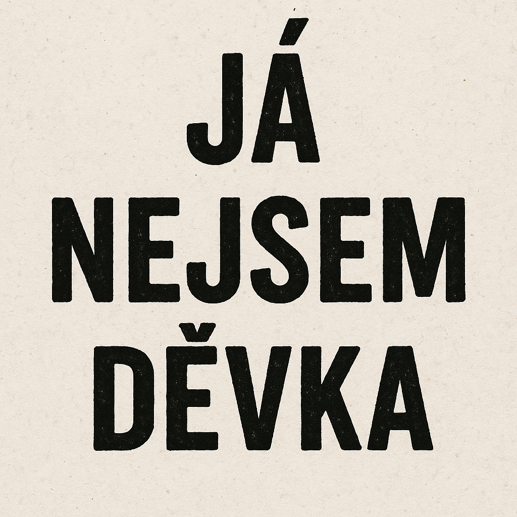 Popis obr&aacute;zku