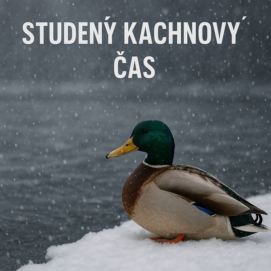 Popis obr&aacute;zku