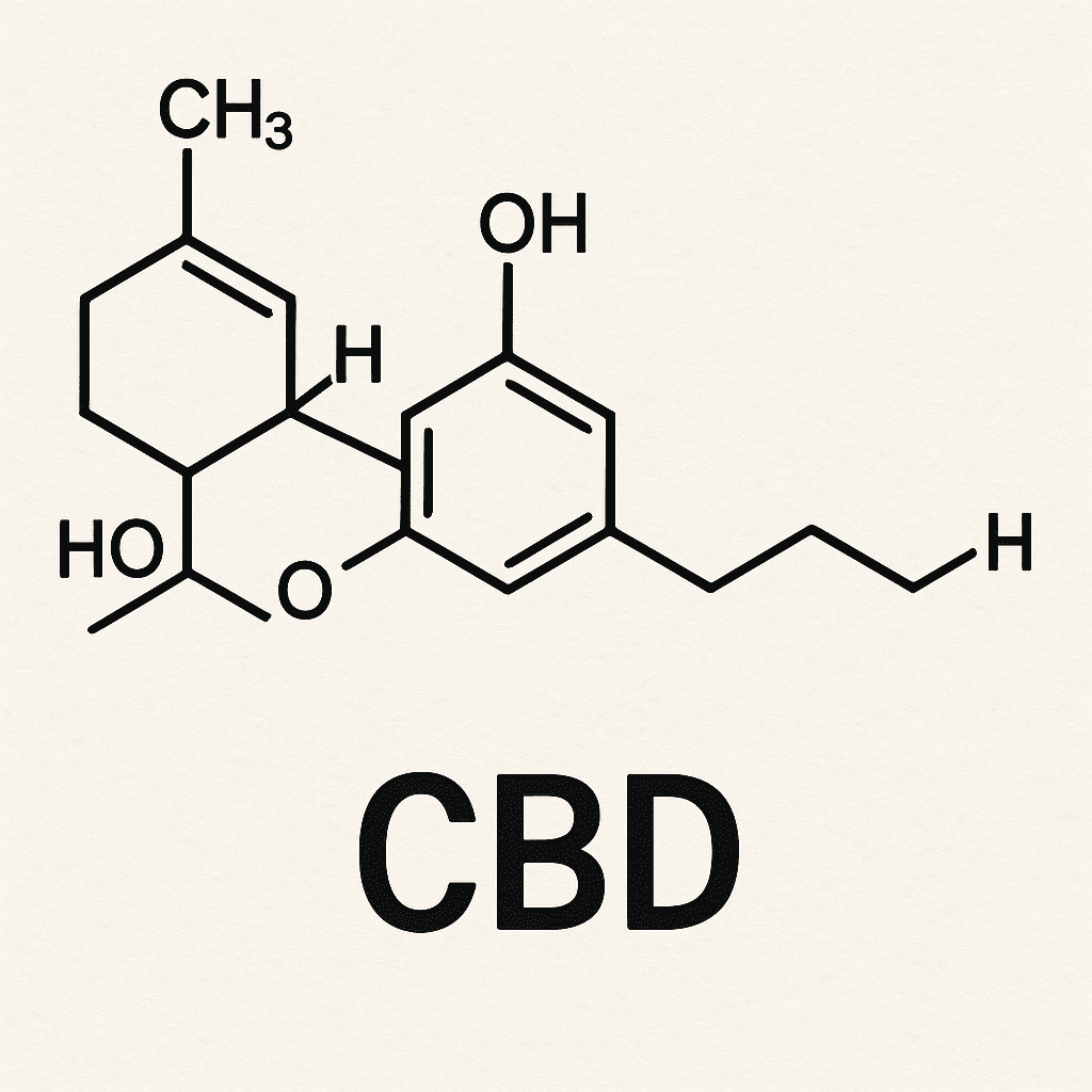 Popis obr&aacute;zku