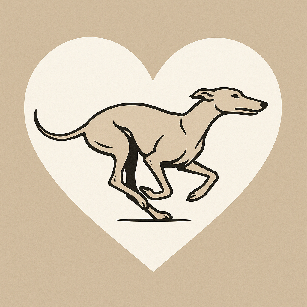 Popis obr&aacute;zku