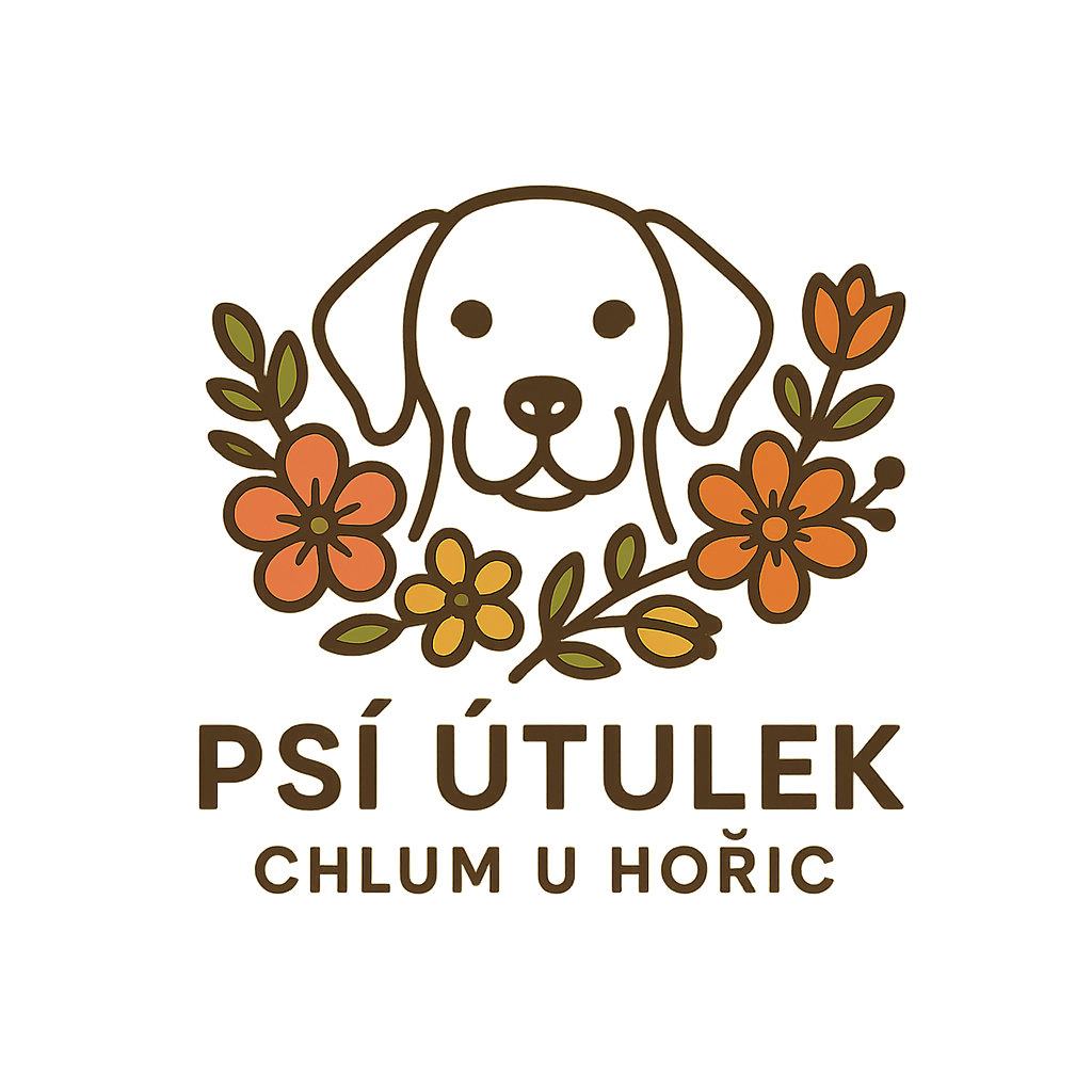 Popis obrázku