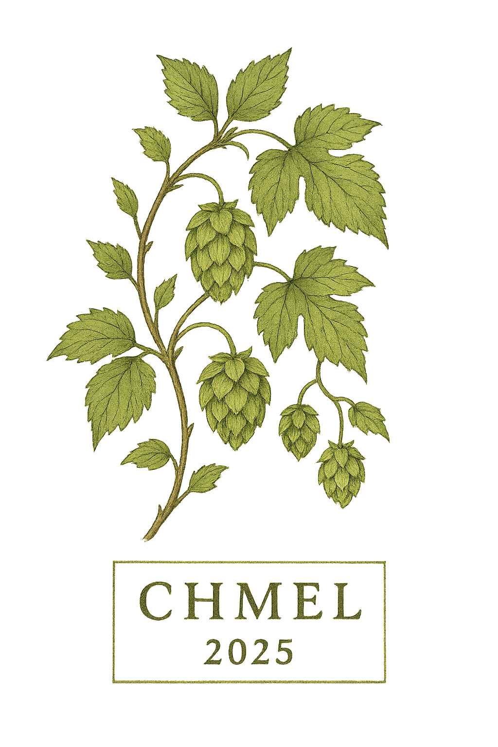 Popis obr&aacute;zku