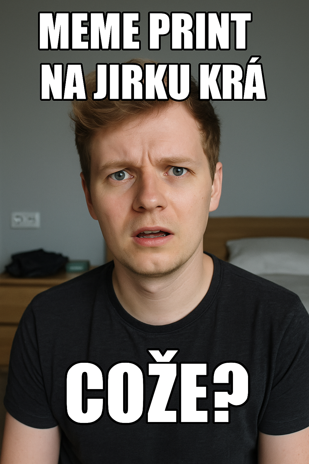 Popis obrázku