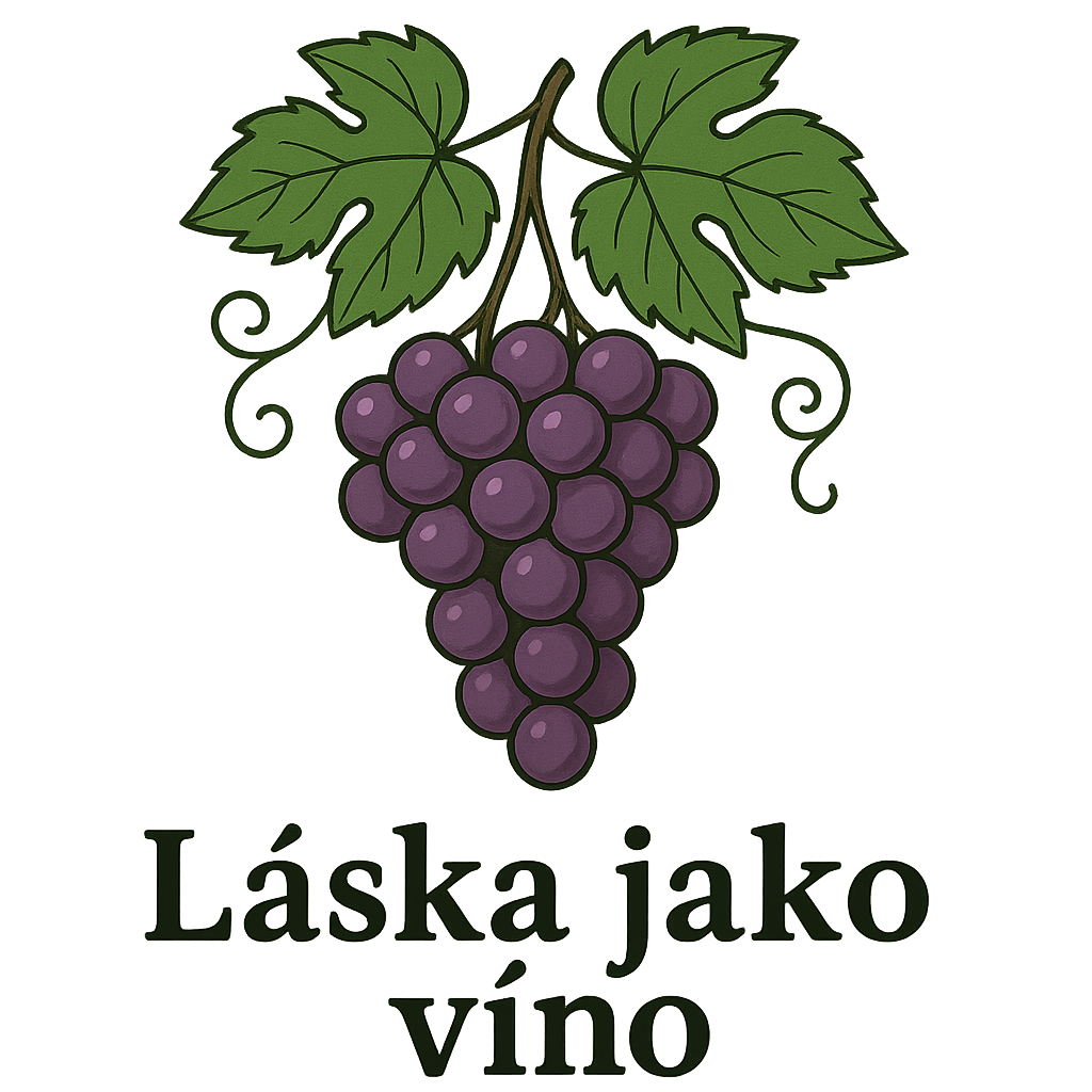 Popis obr&aacute;zku