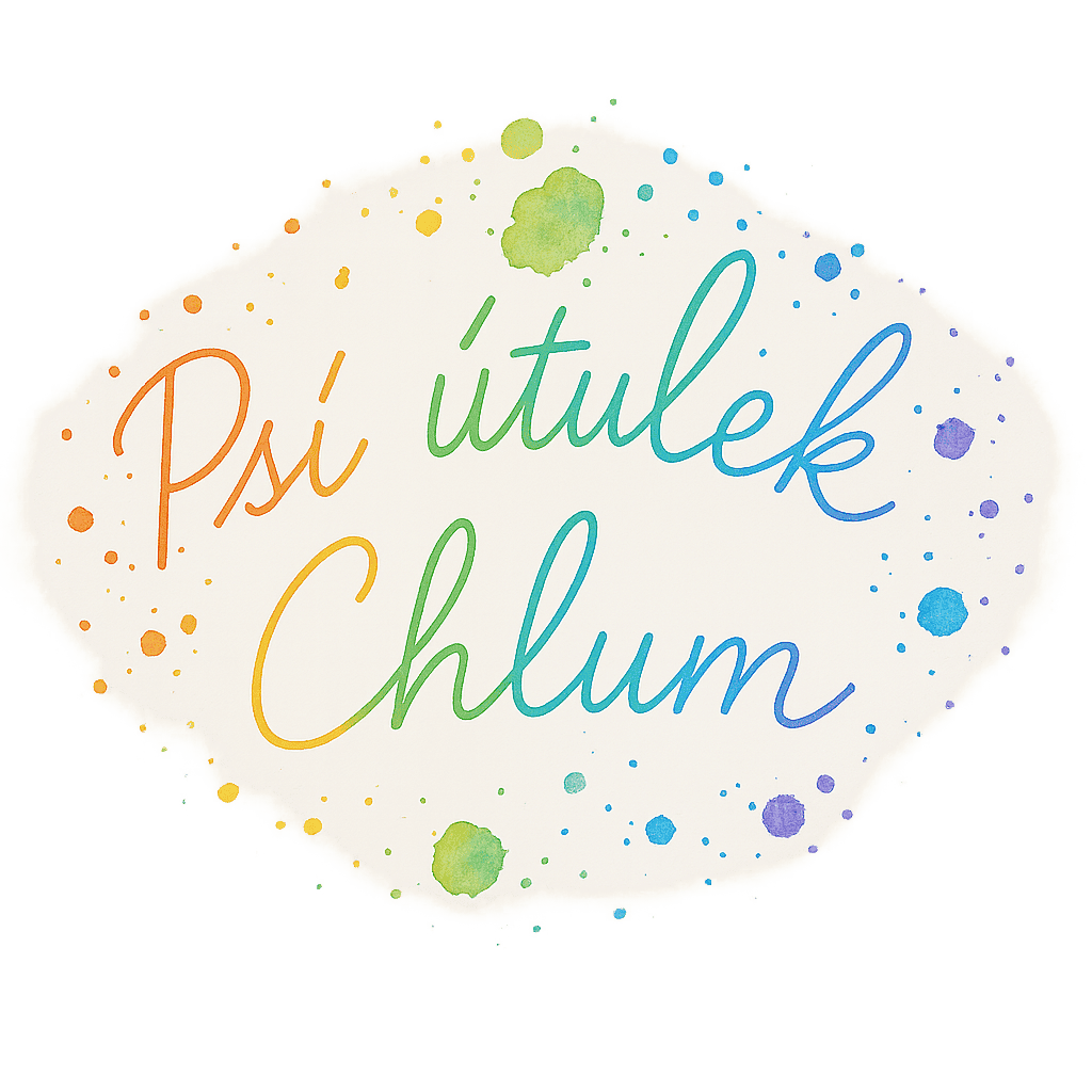 Popis obr&aacute;zku