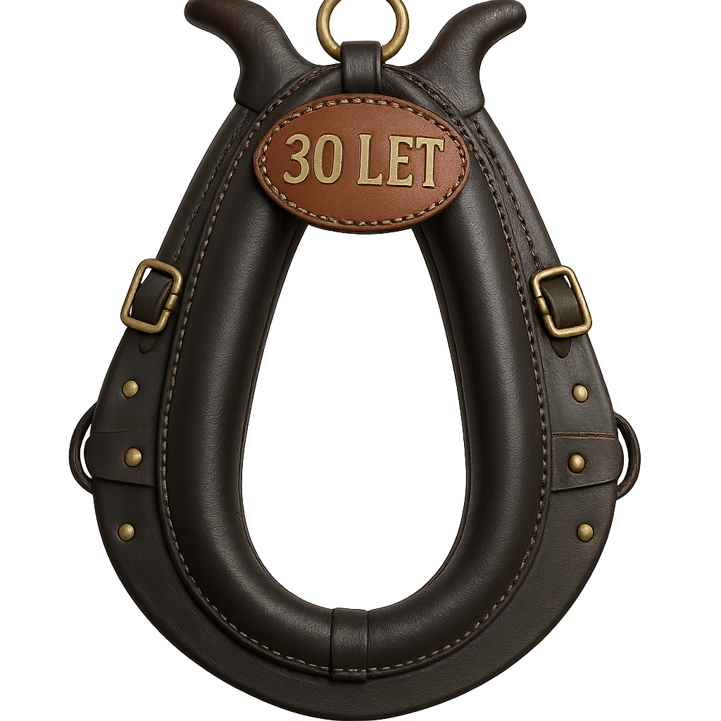 Popis obr&aacute;zku