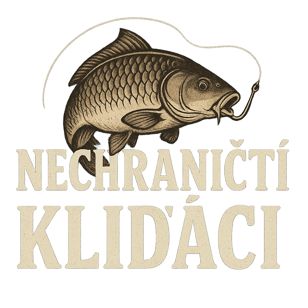 Popis obr&aacute;zku