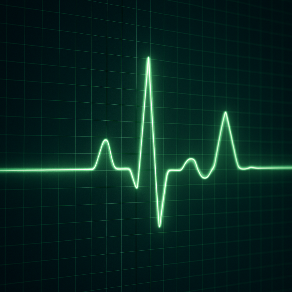 Popis obr&aacute;zku