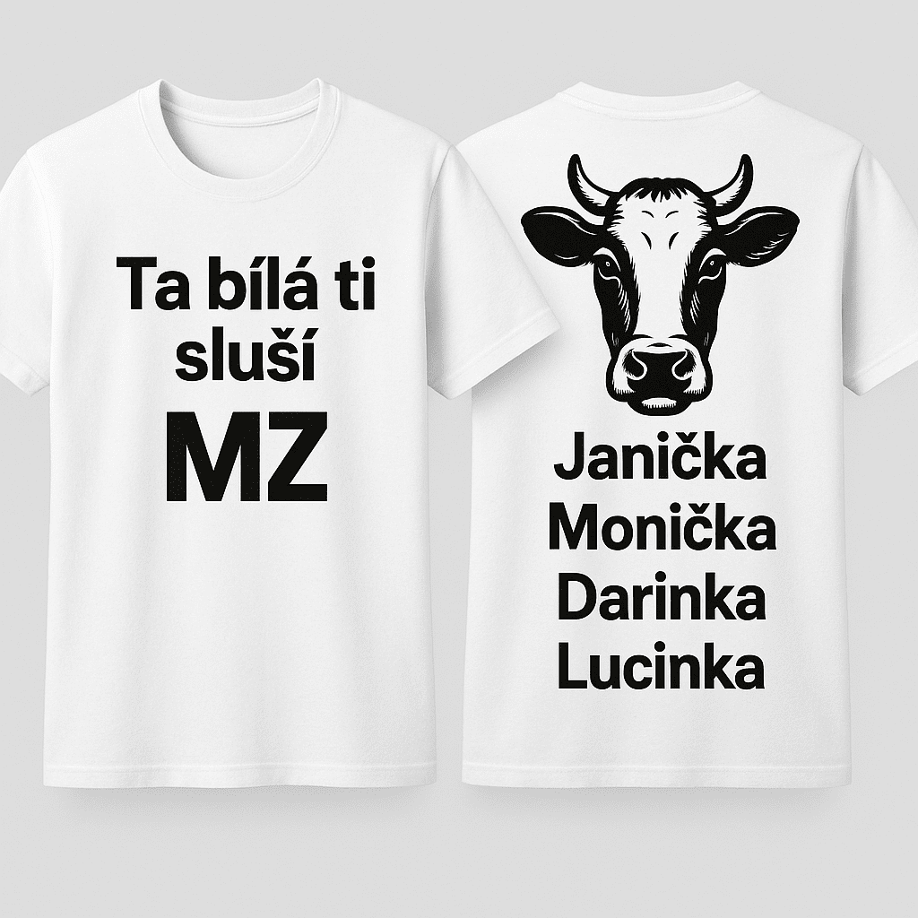 Popis obr&aacute;zku