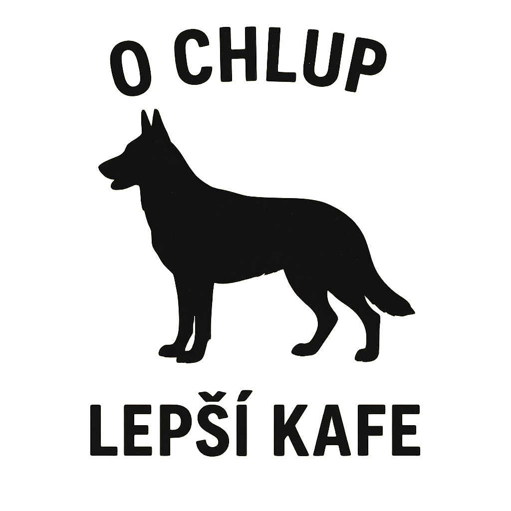 Popis obrázku