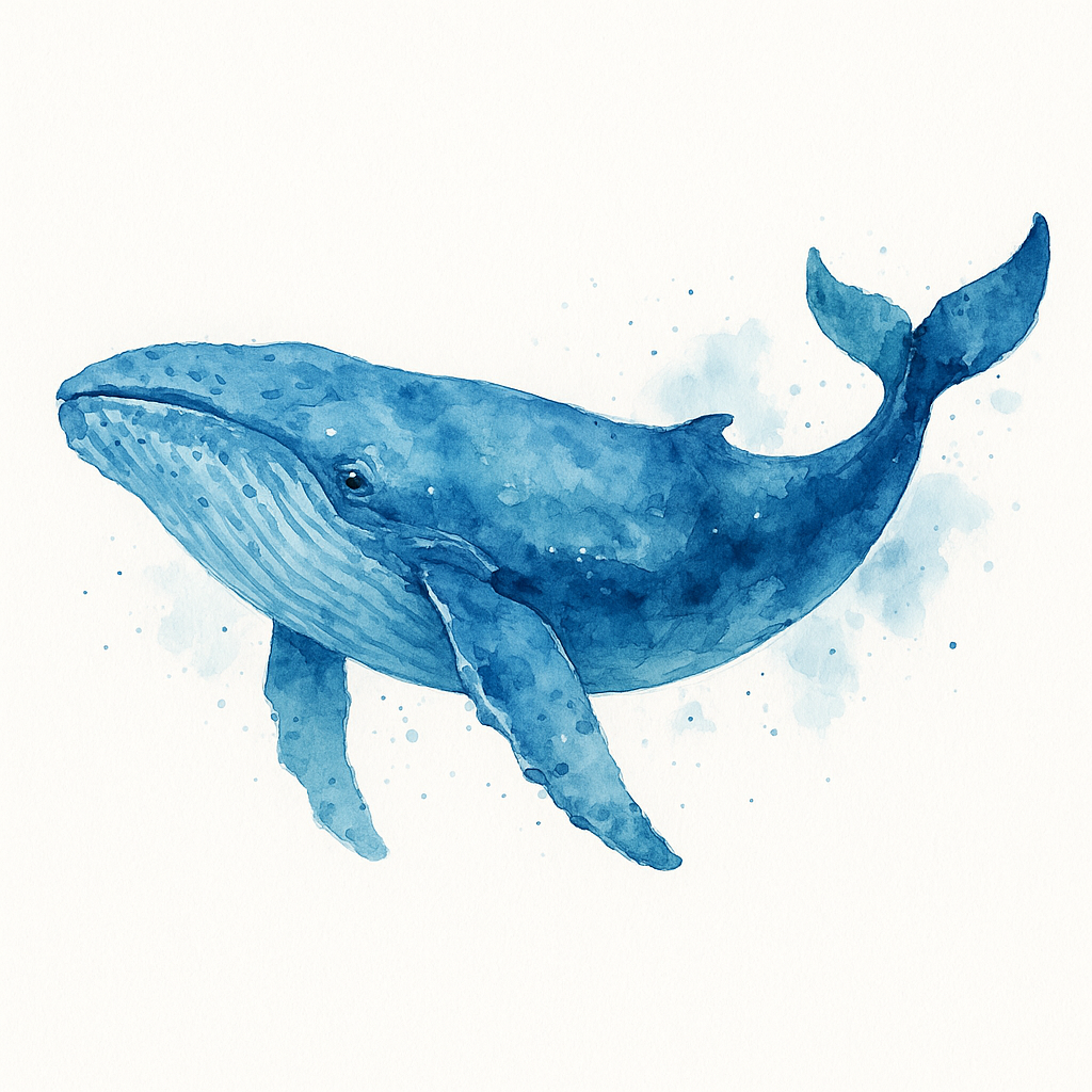 Popis obr&aacute;zku