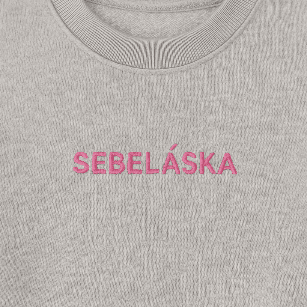 Popis obr&aacute;zku