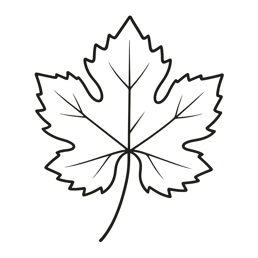 Popis obr&aacute;zku