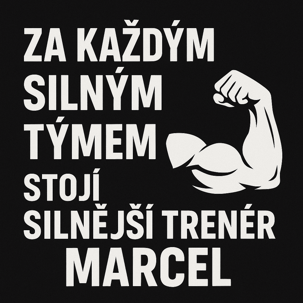 Popis obr&aacute;zku