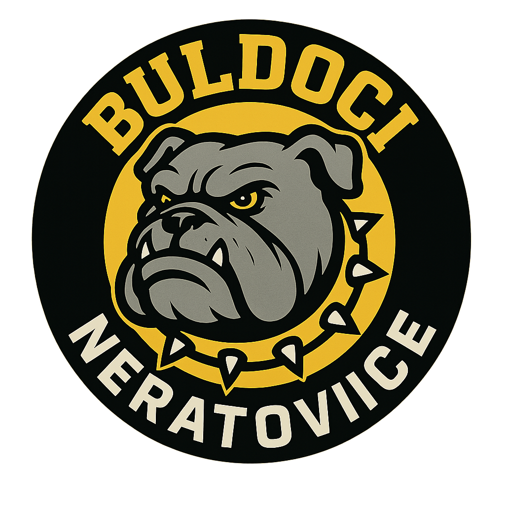 Popis obrázku
