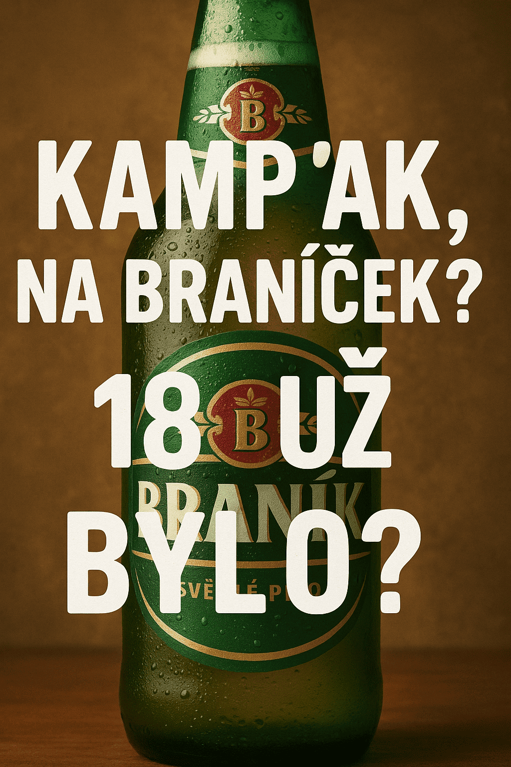 Popis obr&aacute;zku