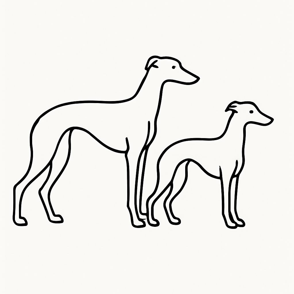 Popis obr&aacute;zku