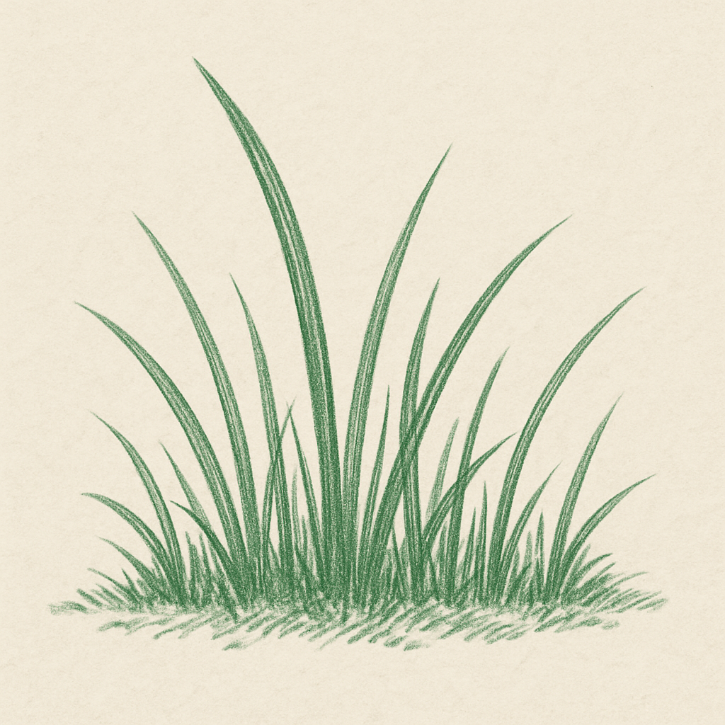 Popis obr&aacute;zku