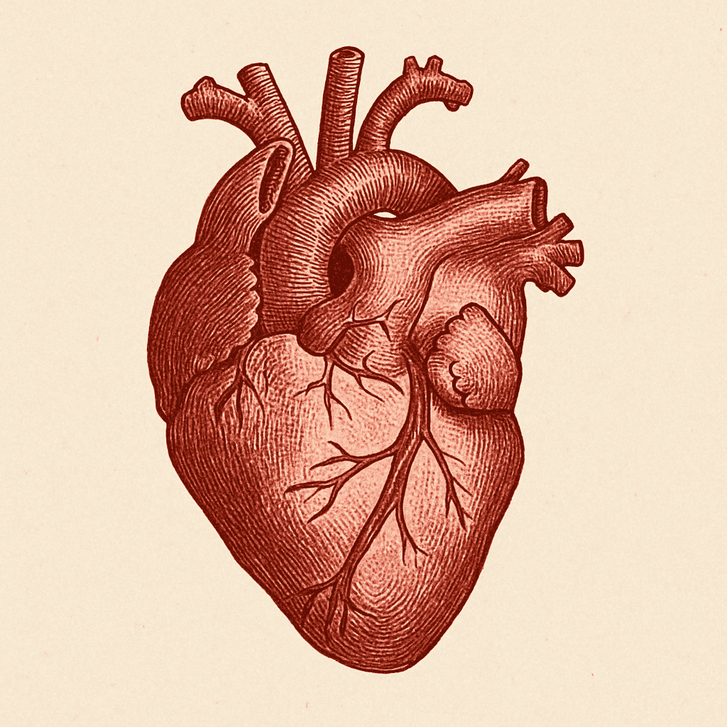 Popis obr&aacute;zku