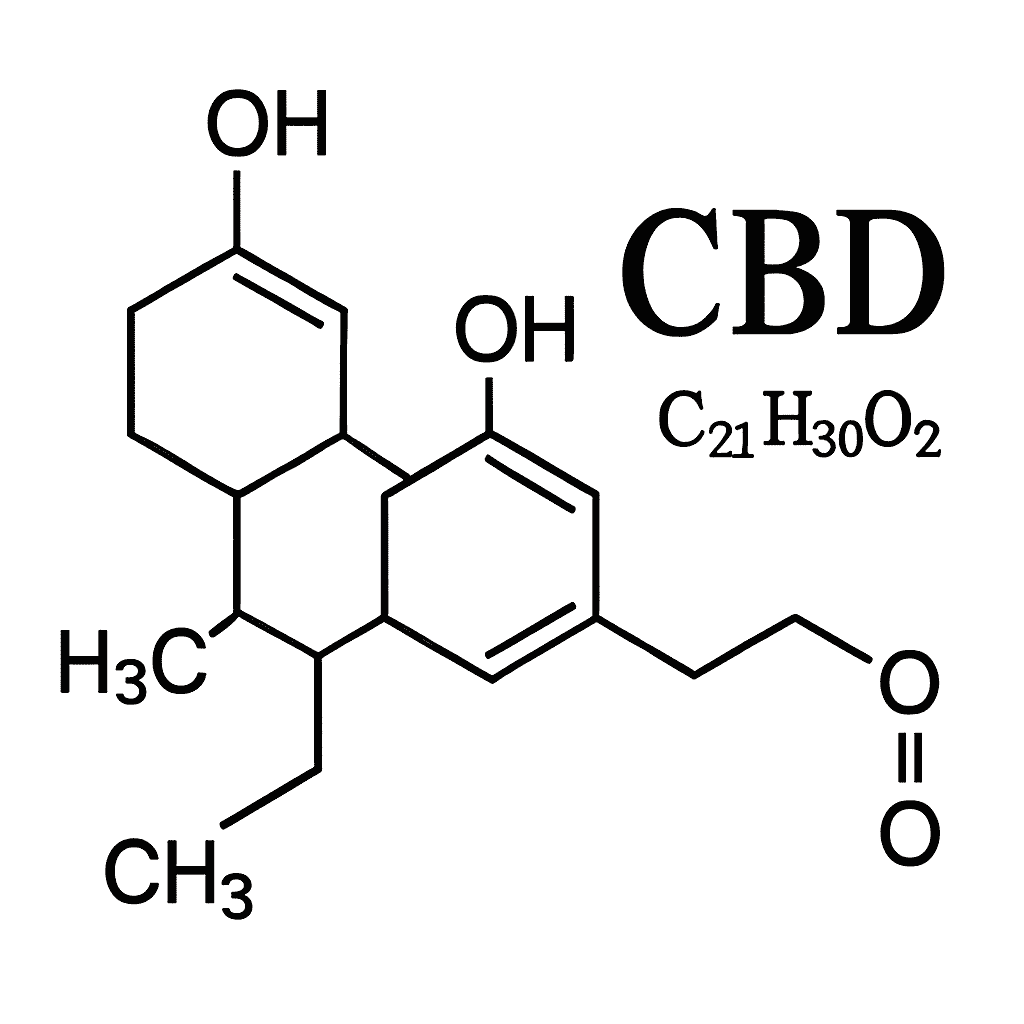 Popis obr&aacute;zku