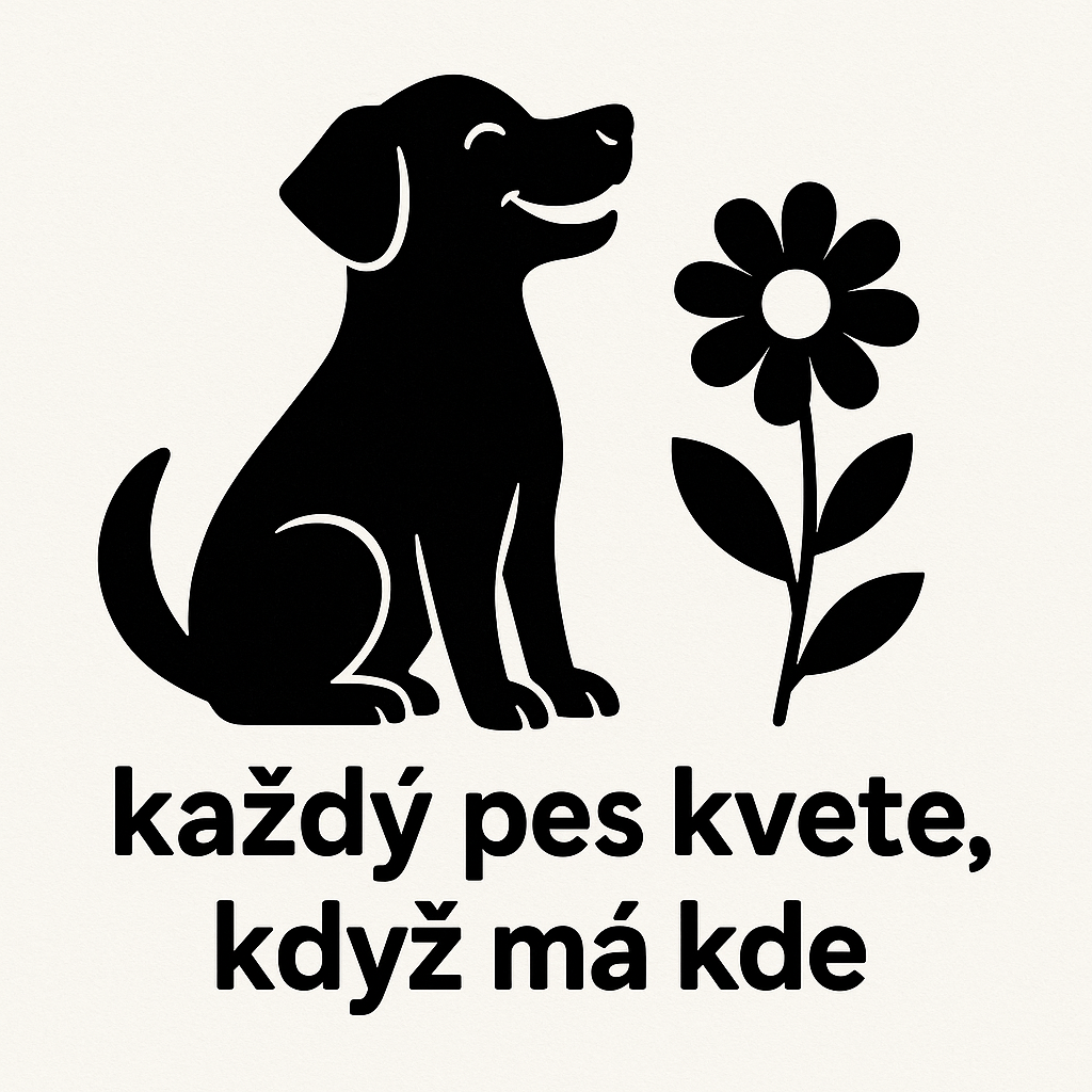 Popis obr&aacute;zku