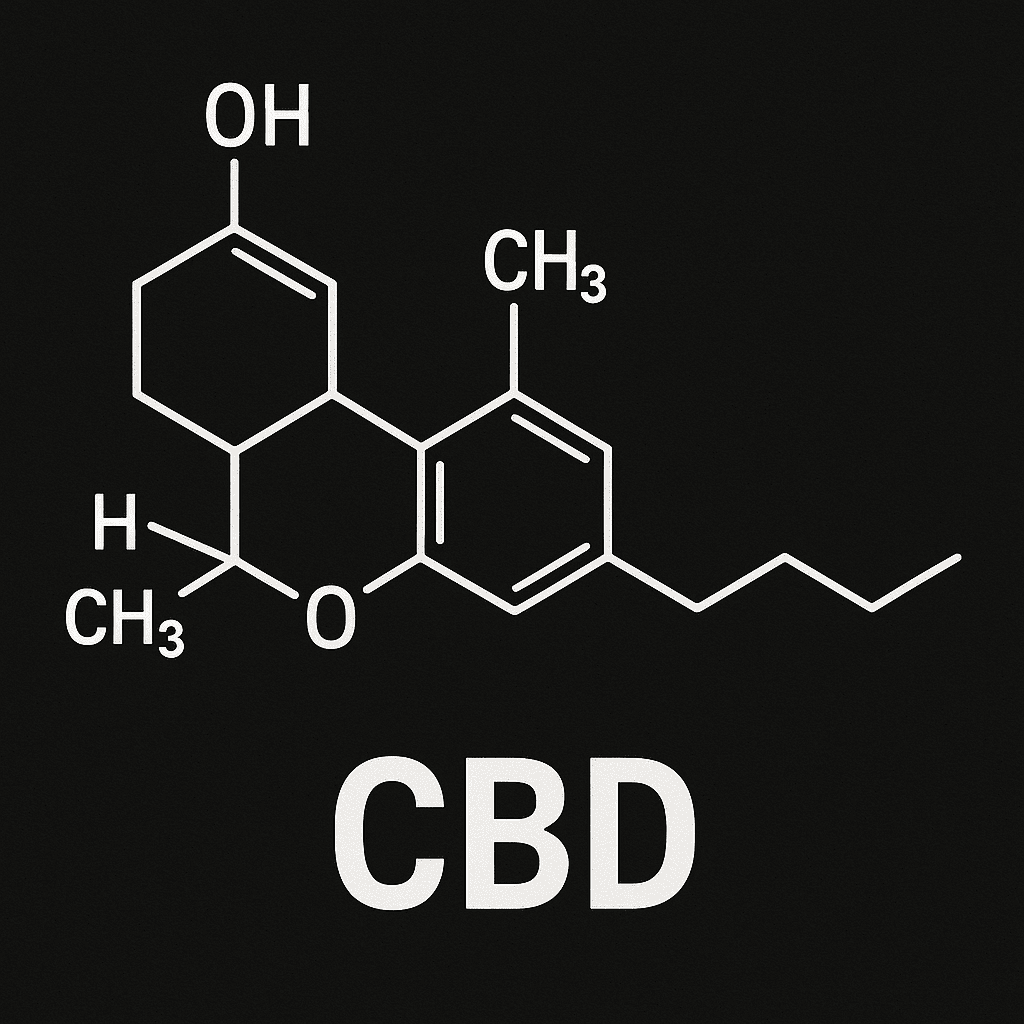 Popis obr&aacute;zku