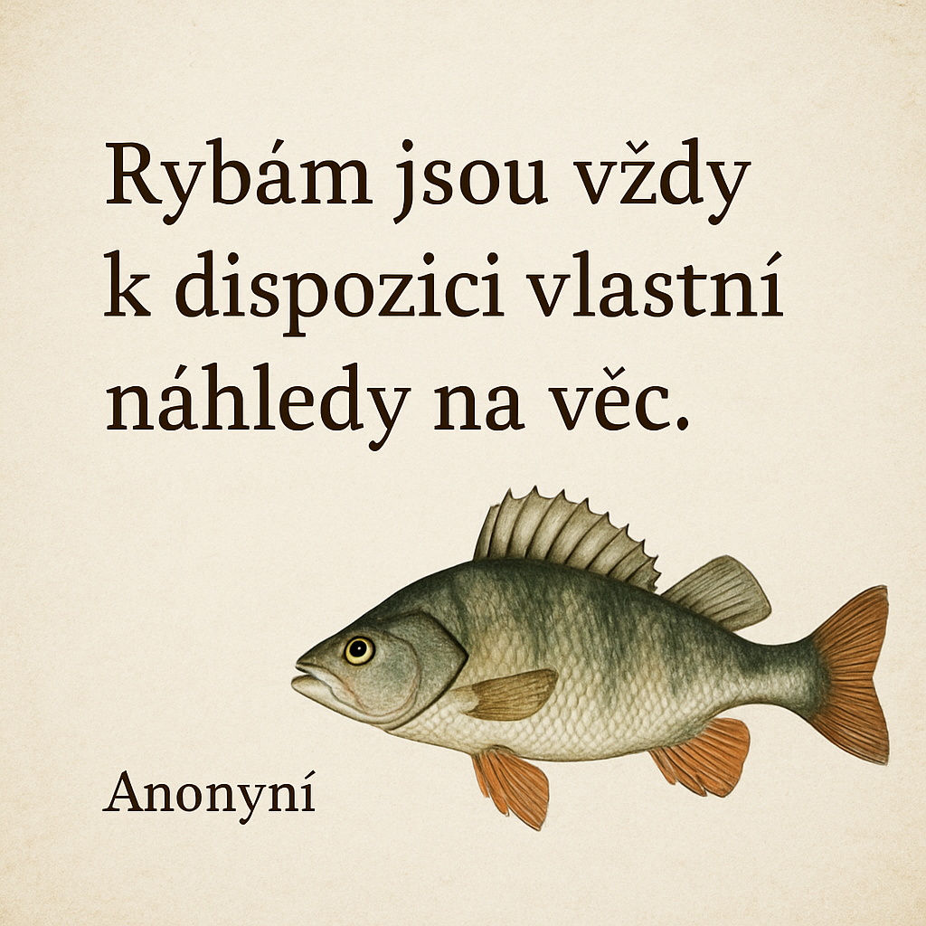 Popis obrázku