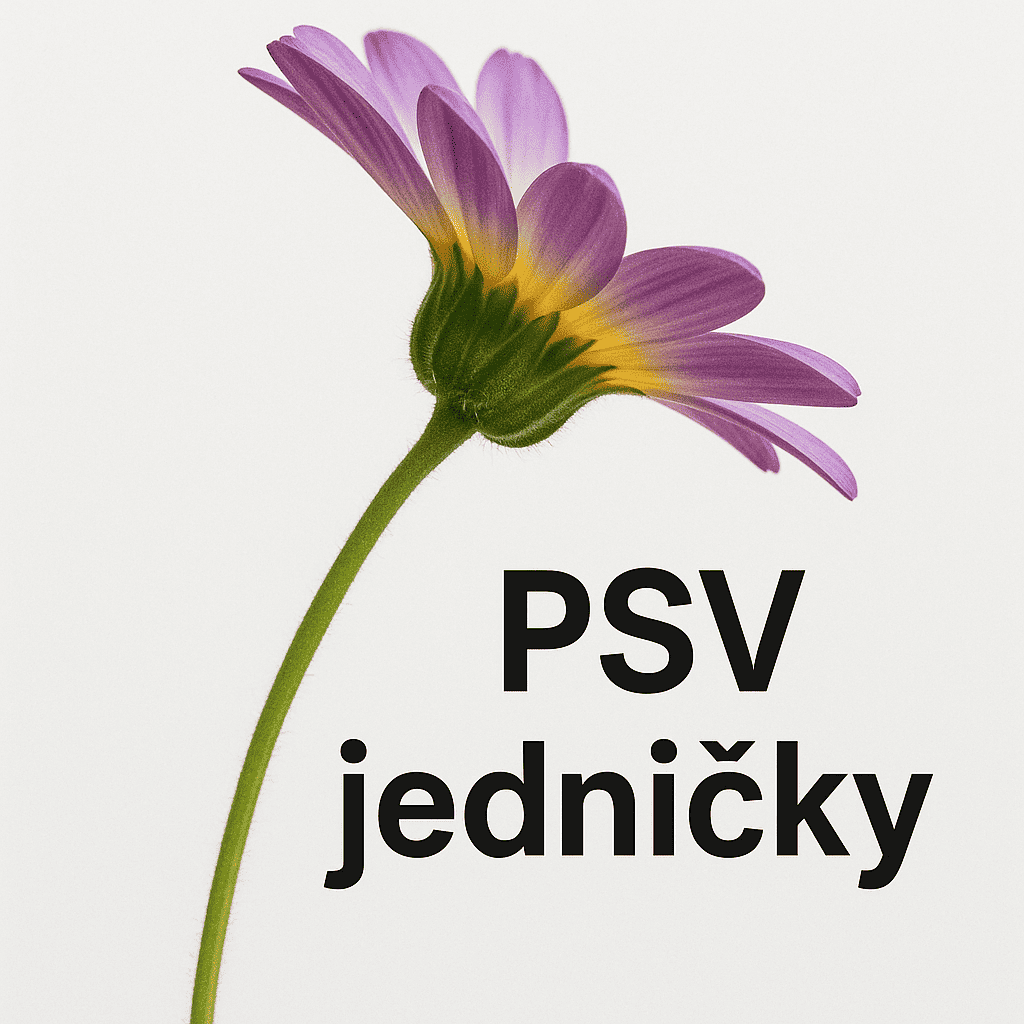 Popis obr&aacute;zku