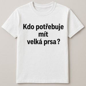 Popis obrázku
