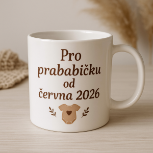 Popis obrázku