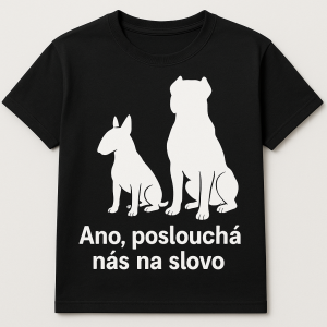 Popis obrázku