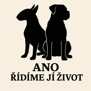 Popis obrázku