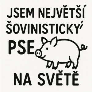 Popis obrázku