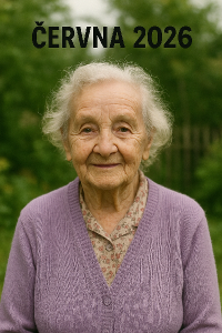 Popis obrázku
