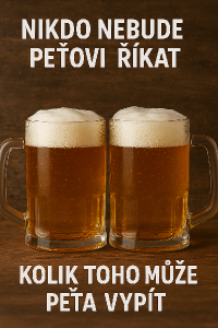 Popis obrázku