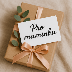 Popis obrázku