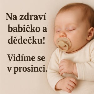 Tento text: Na zdraví babičko a dědečku!Vidíme se v prosinci.Chci obrázek do tématu - nějaké miminko, nebo dudlík.