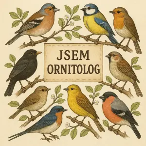 Ptactvo - Pěvci s nápisem " jsem ornitolog"