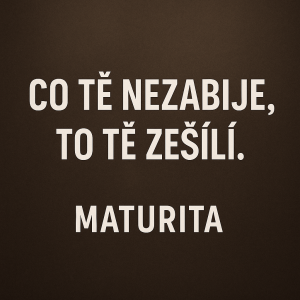 Chci na šaty pouze text, aby to vypadalo profi, bez obrázků, na nějakém pozadí.Co tě nezabije, to tě zešílí.Maturita.