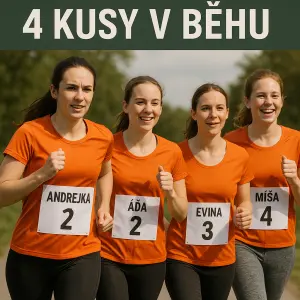 na závody na běh- název skupiny je 4 kusy v běhu. pořadí běhu je Andrejka, Áďa, Evina, Míša. To pořadí tam chceme mít