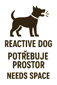 Potřebuji ikonu psa a text, který znázorňuje, že je pes reaktivní a potřebuje prostor. Česky a anglicky