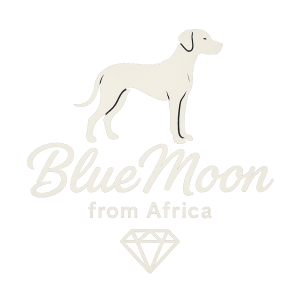 logo s názvem BlueMoon from Africa psáno přesně takto font psace , silueta rhodezskeho ridgebacka a diamantu