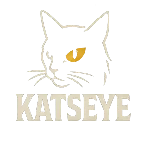 Katseye kapela,nazev a logo kapely