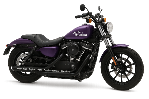 Harley Davidson bez pozadi,fialova barva, jmena vnoučat "Sadie, Tyson, Sophie, Grace, Annie, Samuel a Gabriela