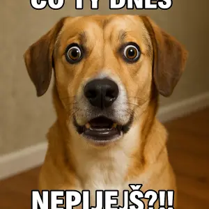 realný překvapený pes s textem "čo ty dnes nepiješ ?!!