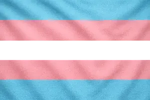 Trans vlajka