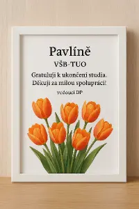 Dárek pro absolventku VŠB-TUO, která končí studium a chci ať má milou vzpomínku na vedoucí DP