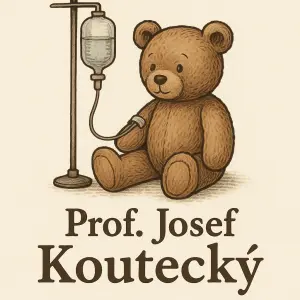 Medvídek s kapačkou a pod ním nápis Prof.Josef Koutecký
